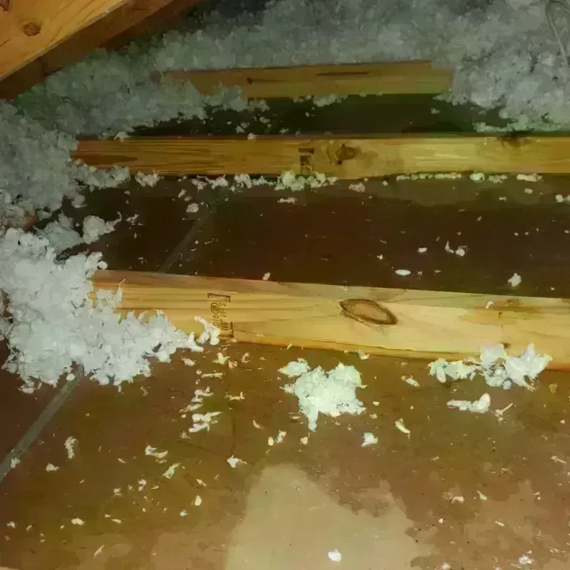 Attic Water Damage in Belmont, VA