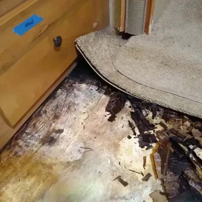 Wood Floor Water Damage in Belmont, VA